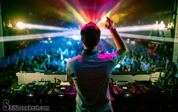 DJ Like To Party 2013 DUBٵͼƬ 122772